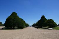 Hampton Court Garten