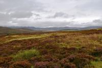 1611 Cairngorm NP, Don Side