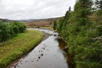 1612 Cairngorm NP, River Gairn