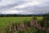 1628 Cairngorm NP, Speyside