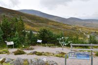 1659 Cairngorm Mountain Railway, Botanischer Garten