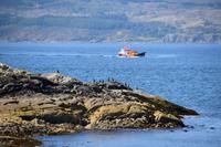 1738 Mallaig, Komorane