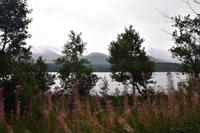 1663 Blick vom Loch Morlich in die Cairngorm Mountains