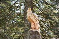 1791 Inveraray Castle, Garten
