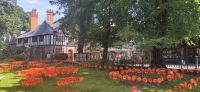 165 Chester, Cathedral Garden