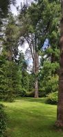 173 Arley Arboretum and Gardens
