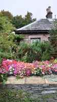 173 Ein Vorgarten in Luss