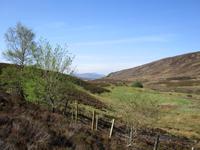 Cairngorms Nationalpark