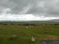 Dartmoor