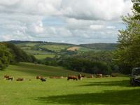Lanhydrock House and Garden