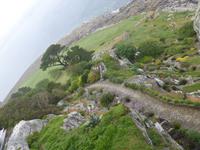 St. Michel´s Mount - Garten