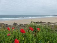 Newquay - Fistral Beach