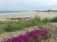 Newquay - Fistral Beach