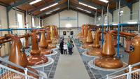 Glenfiddich Distillery