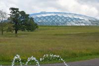 Botanischer Garten von Wales - Gewächshaus
