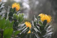 in der Südafrika Abteilung