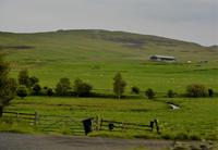 Schafe wohin man sieht