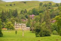 schönes Grundstück