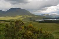 grün wohin das Auge blickt