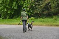 walking oder Spaziergang?