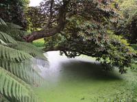 Lost Gardens of Heligan