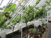 Lost Gardens of Heligan