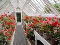 Lost Gardens of Heligan