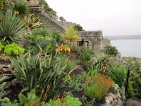 St. Michael´s Mount
