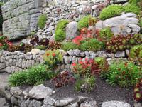 St. Michael´s Mount