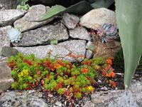St. Michael´s Mount