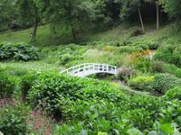 Trebah Garden