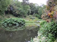 Trebah Garden