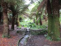 Trebah Garden
