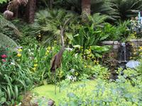 Trebah Garden