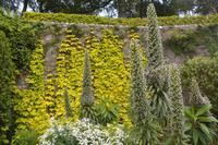 Farben- und Formenpracht