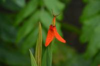 von der Nähe betrachtet