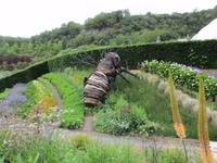 Eden Project