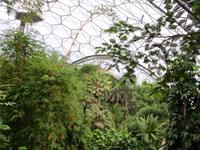 Eden Project