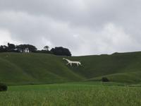 Cherhill White Horse