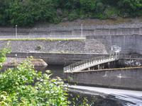 Staumauer und Lachstreppe bei Pitlochry