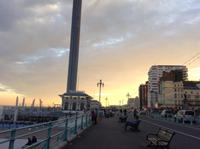 Blick zum Abendhimmel