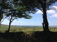 Weite Ausblicke vom Dartmoor