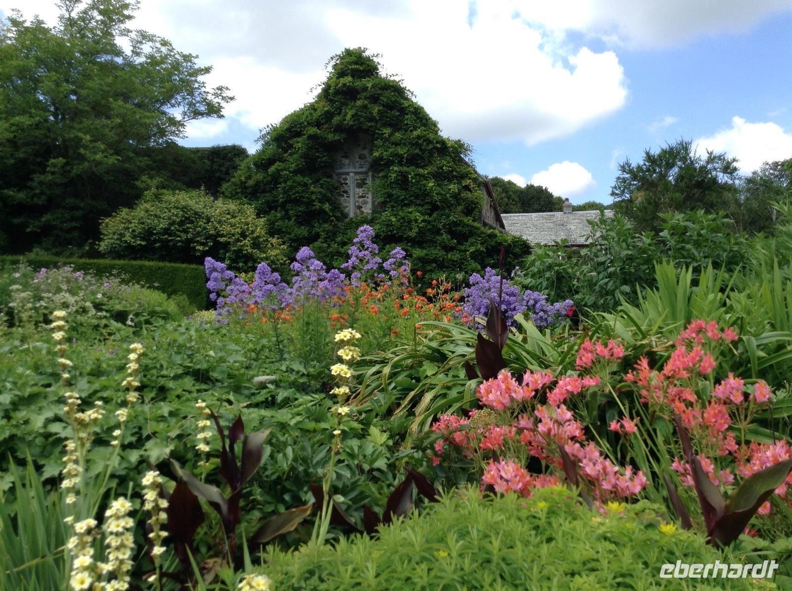 wunderschöner Garten