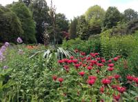 herrliche Gartenanlage