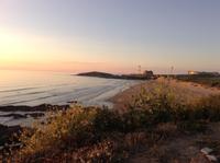 die Küste im Abendlicht