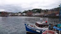 Hafenbecken in Oban