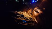 Drachen in der GoT-Exhibition