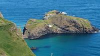 Carrick-a-Reed Rope Bridge