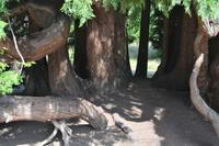 fast wie in einer Kirche