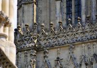 Suchbild (Wo sitzt der Falke?)